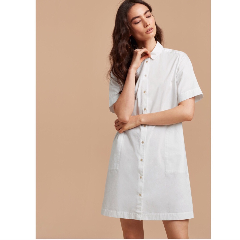Aritzia HÉMISTICHE Dress
